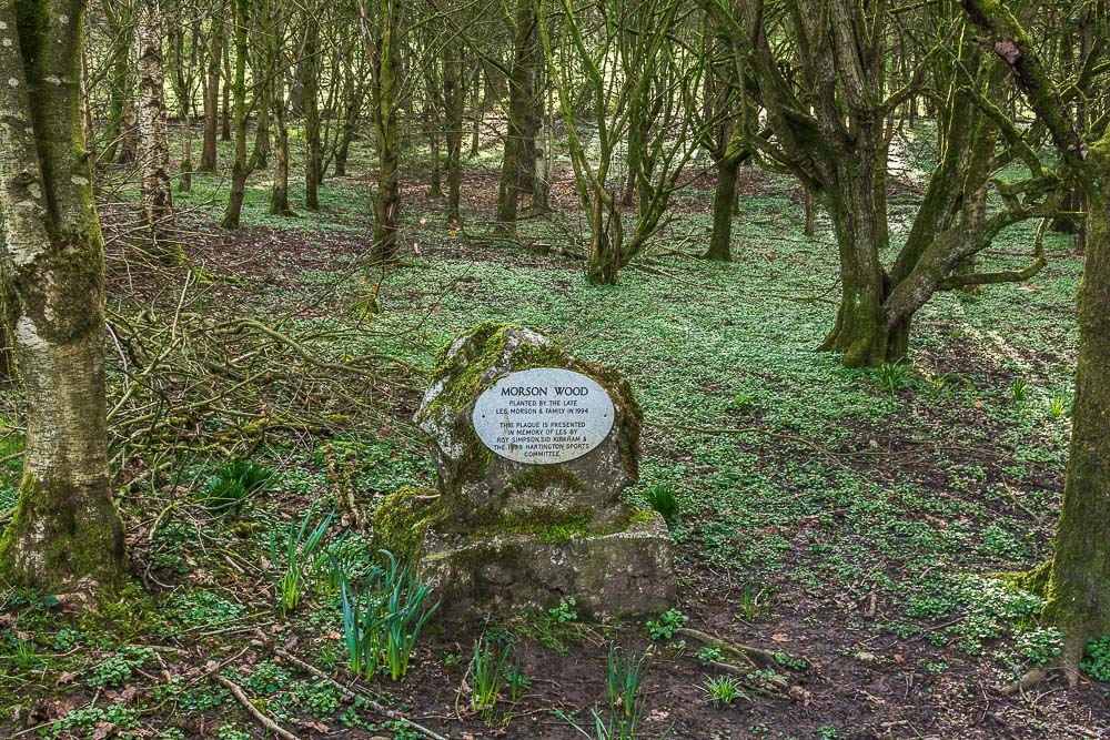 Morson Wood Morson Wood
